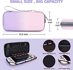 Nintendo switch travel case